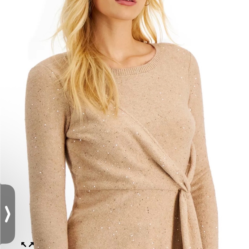NWT Donna Karan Sparkling Beige Sweater